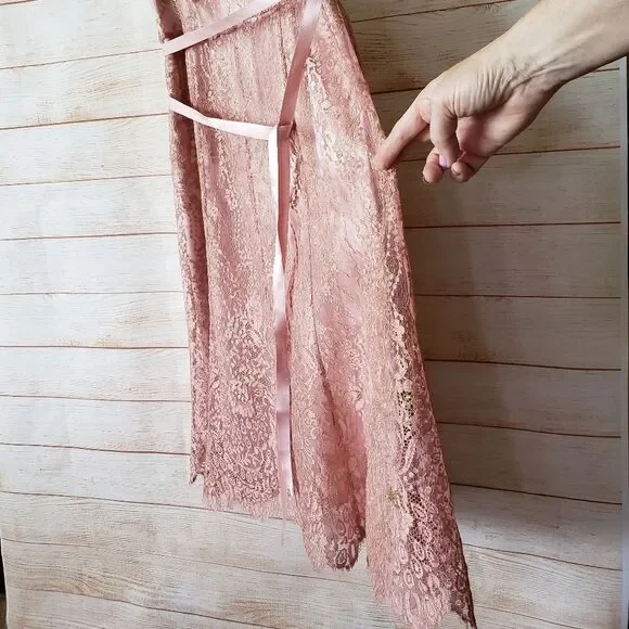 Ann Taylor Lace Metallic Ribbon Strap Dress Eyelash Lace Hem Size 6 Blush Pink - Picture 3 of 13